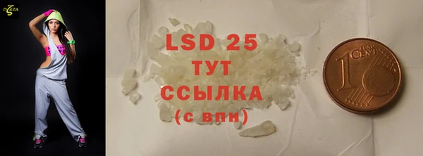 хмурый Верея
