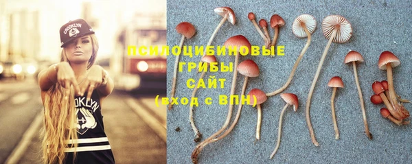 MDMA Волоколамск
